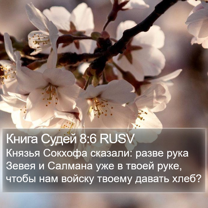 Книга Судей 8:6 RUSV Bible Study