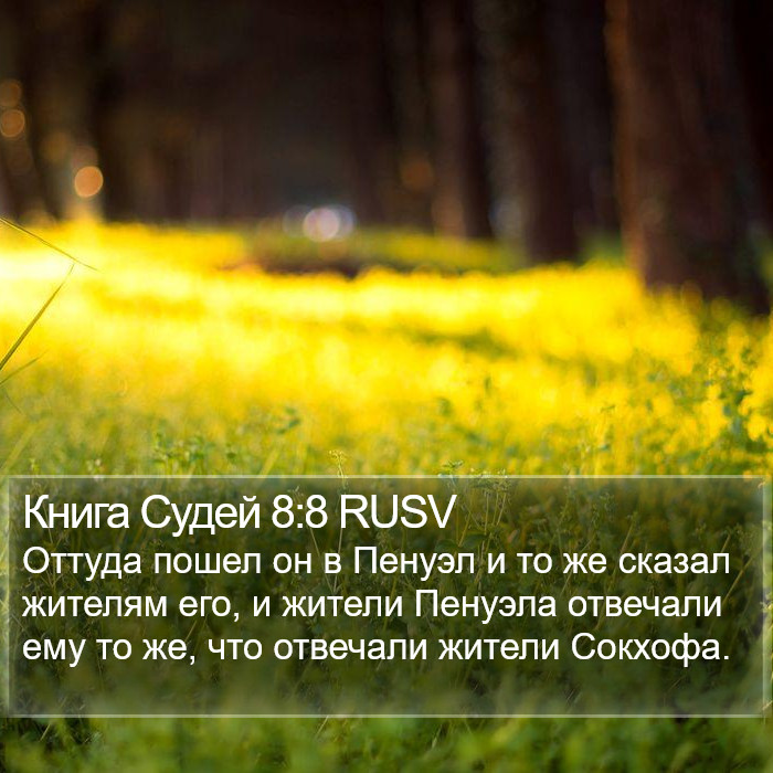 Книга Судей 8:8 RUSV Bible Study