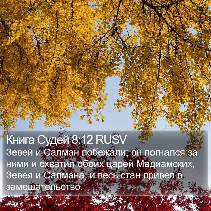 Книга Судей 8:12 RUSV Bible Study