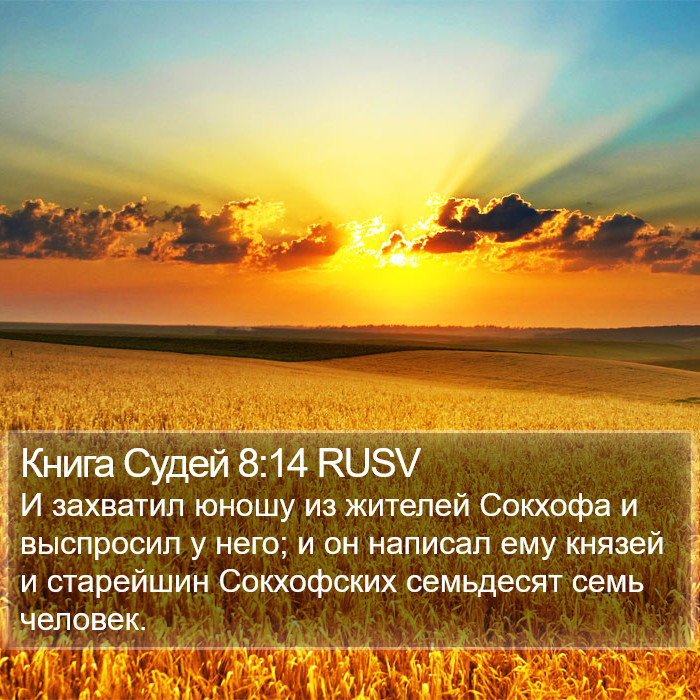 Книга Судей 8:14 RUSV Bible Study