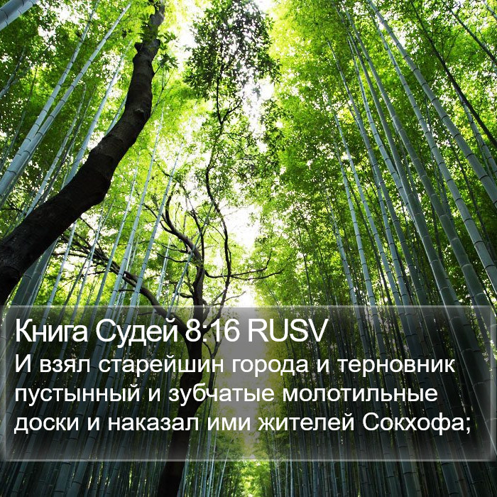 Книга Судей 8:16 RUSV Bible Study