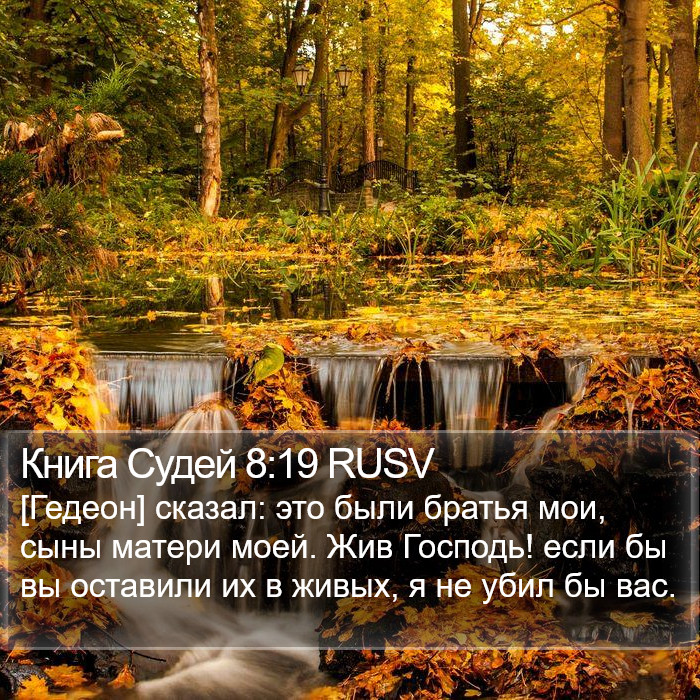 Книга Судей 8:19 RUSV Bible Study