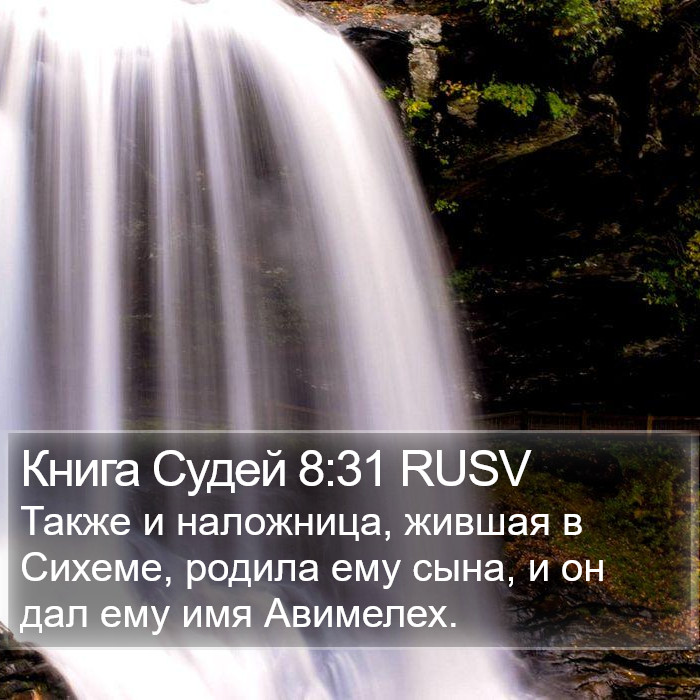 Книга Судей 8:31 RUSV Bible Study