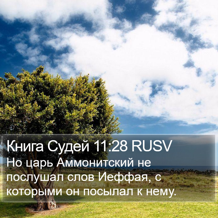 Книга Судей 11:28 RUSV Bible Study