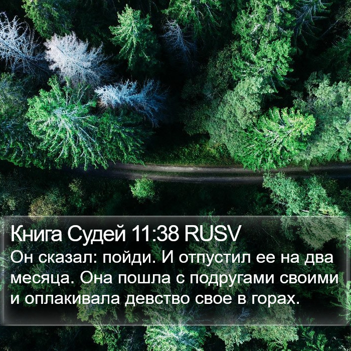 Книга Судей 11:38 RUSV Bible Study