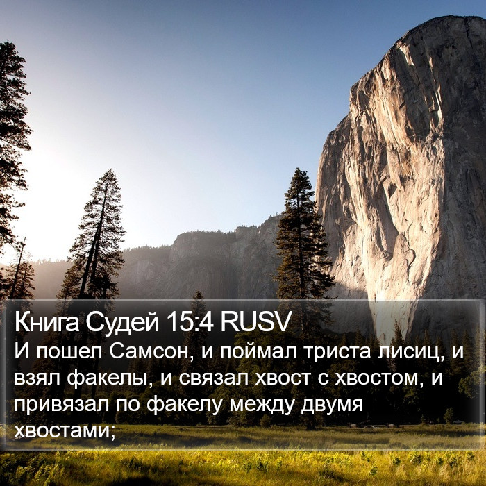 Книга Судей 15:4 RUSV Bible Study
