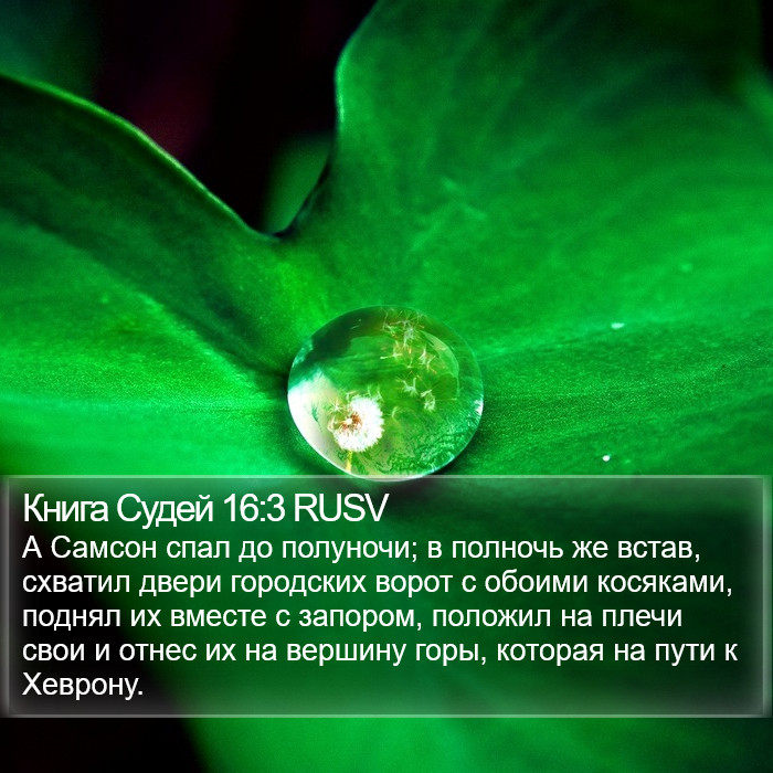 Книга Судей 16:3 RUSV Bible Study