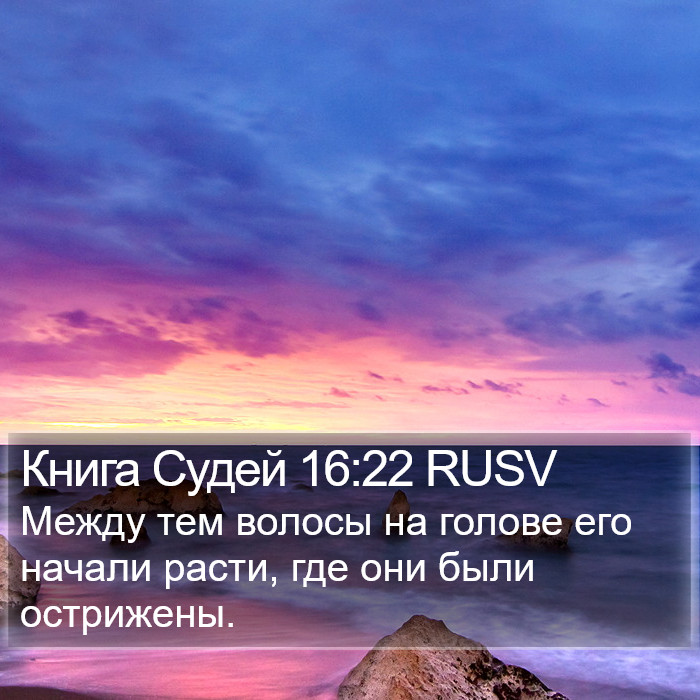 Книга Судей 16:22 RUSV Bible Study