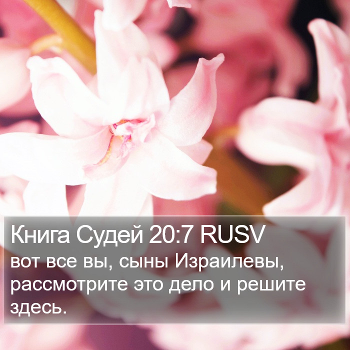 Книга Судей 20:7 RUSV Bible Study