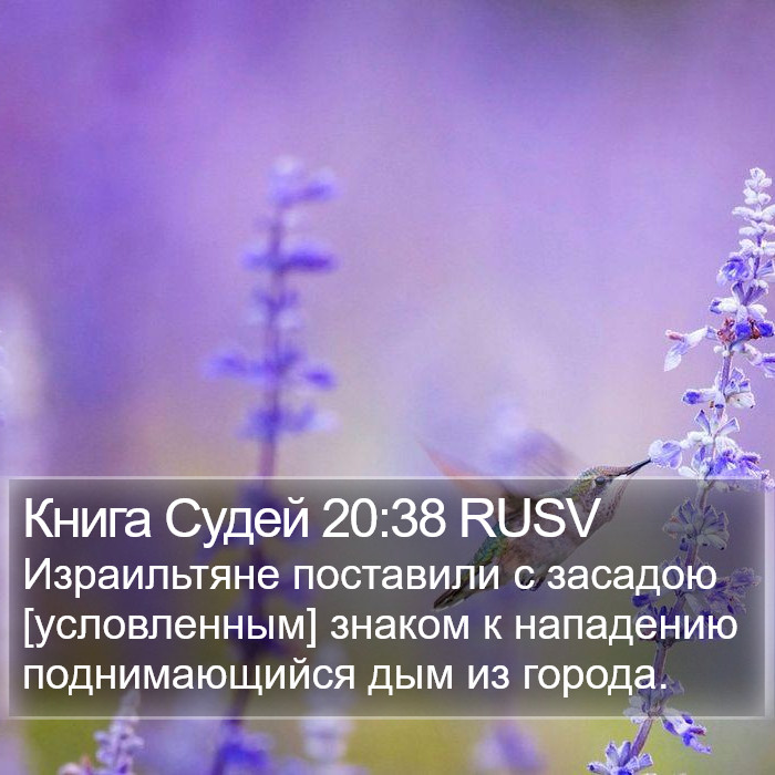 Книга Судей 20:38 RUSV Bible Study
