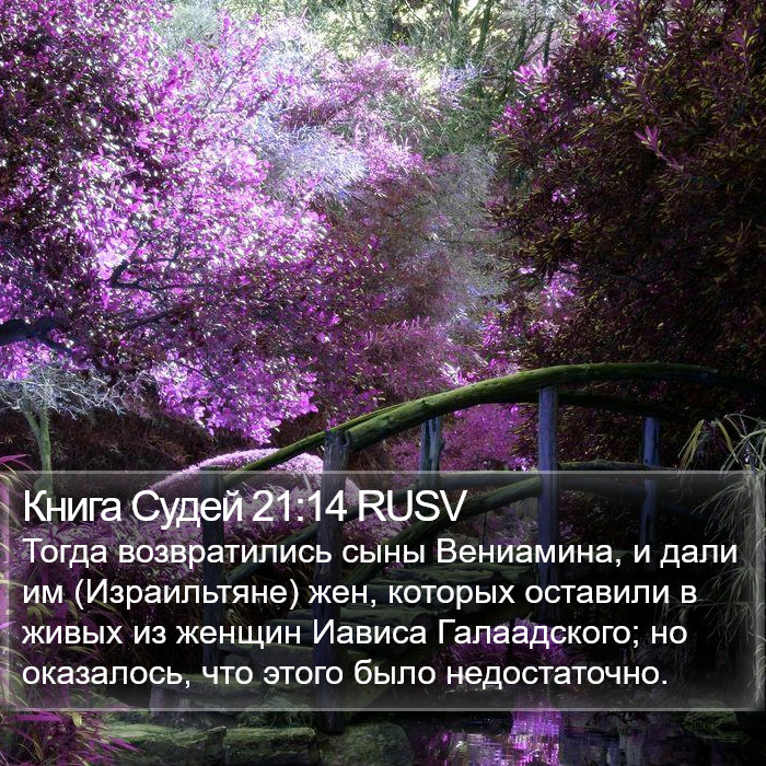 Книга Судей 21:14 RUSV Bible Study