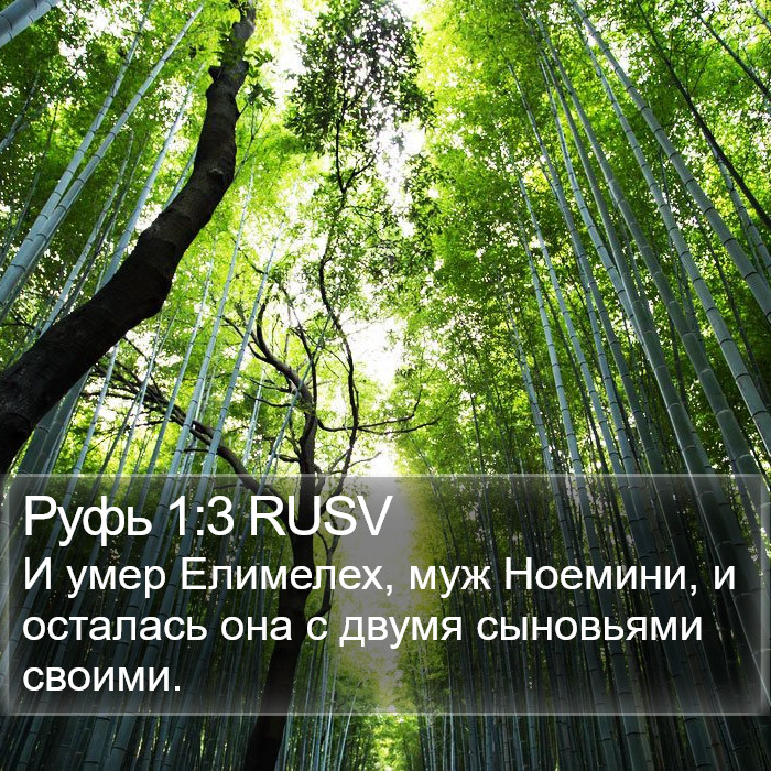 Руфь 1:3 RUSV Bible Study