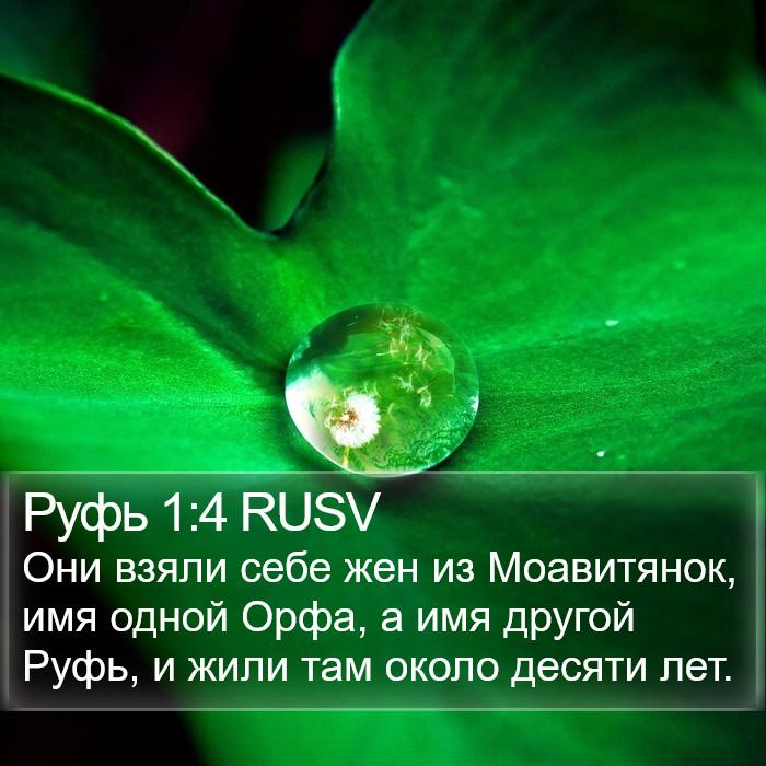 Руфь 1:4 RUSV Bible Study