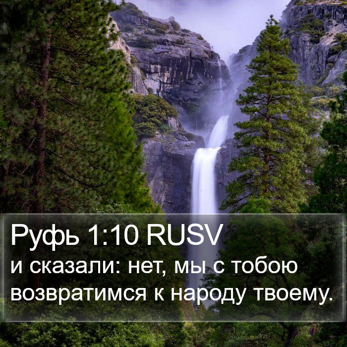 Руфь 1:10 RUSV Bible Study