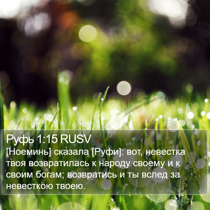 Руфь 1:15 RUSV Bible Study