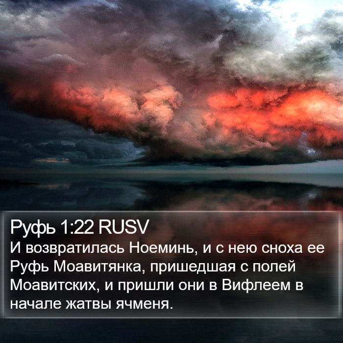 Руфь 1:22 RUSV Bible Study