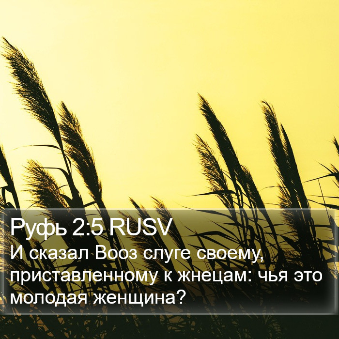 Руфь 2:5 RUSV Bible Study