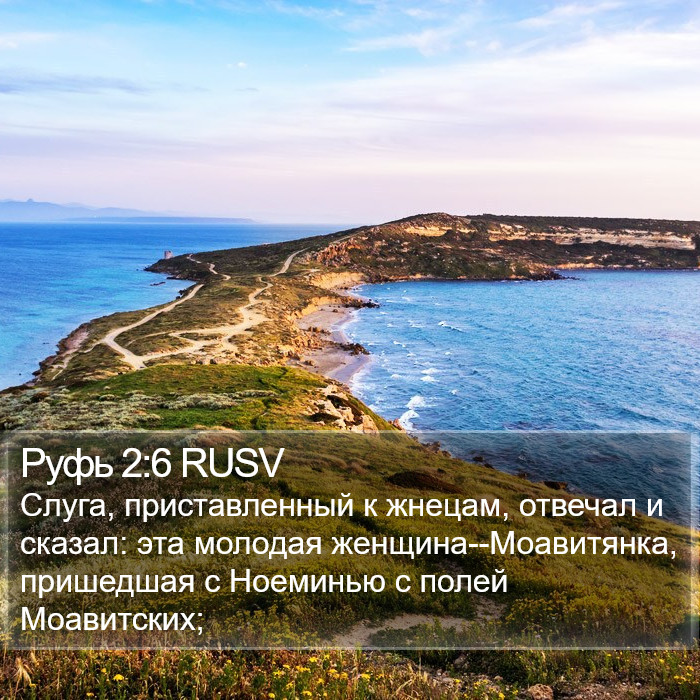 Руфь 2:6 RUSV Bible Study