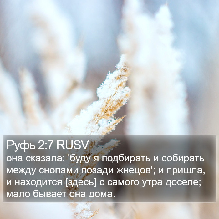 Руфь 2:7 RUSV Bible Study