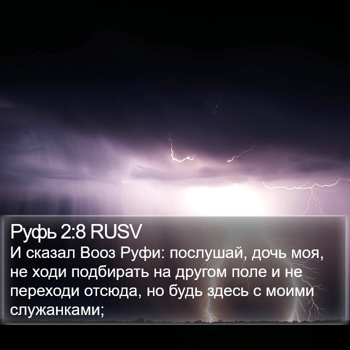 Руфь 2:8 RUSV Bible Study