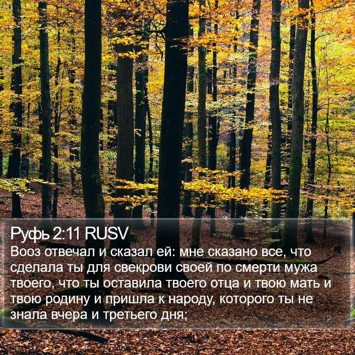 Руфь 2:11 RUSV Bible Study