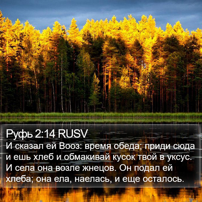 Руфь 2:14 RUSV Bible Study