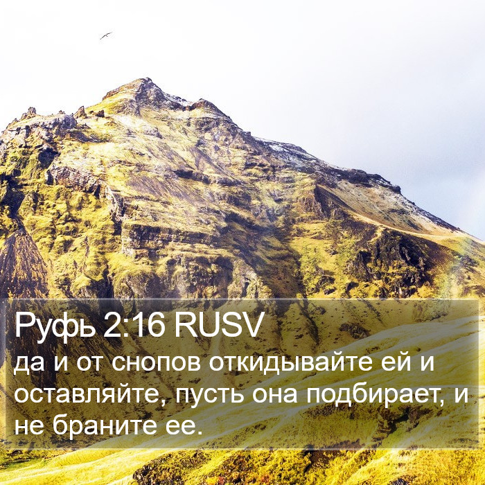 Руфь 2:16 RUSV Bible Study