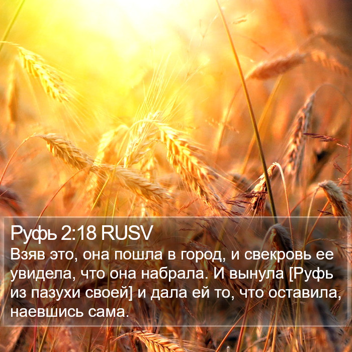 Руфь 2:18 RUSV Bible Study