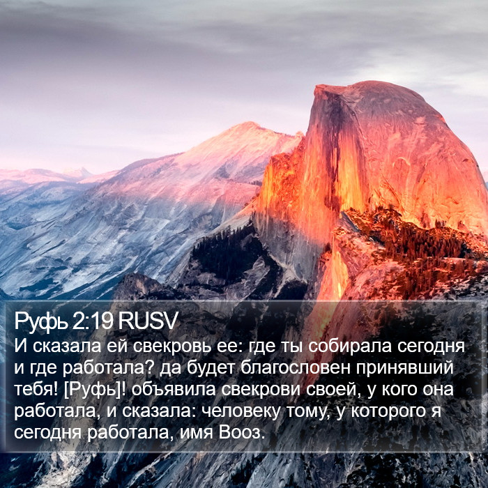 Руфь 2:19 RUSV Bible Study