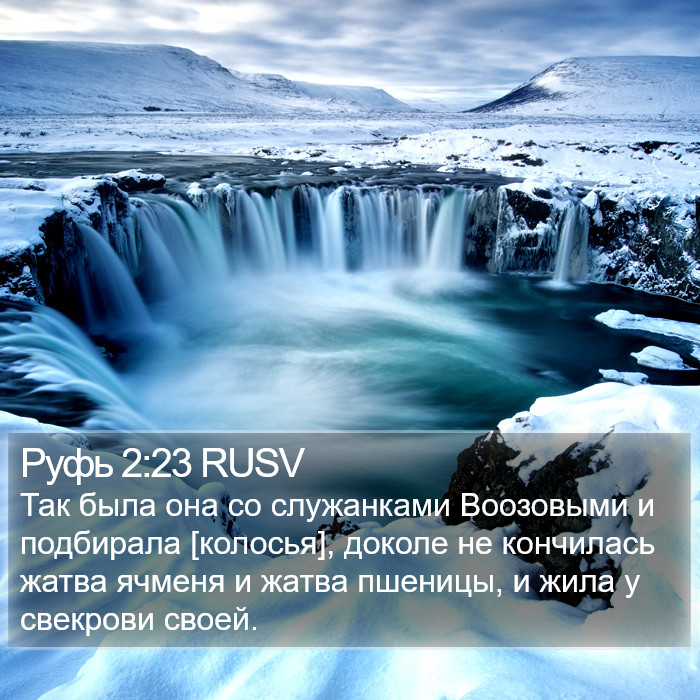 Руфь 2:23 RUSV Bible Study