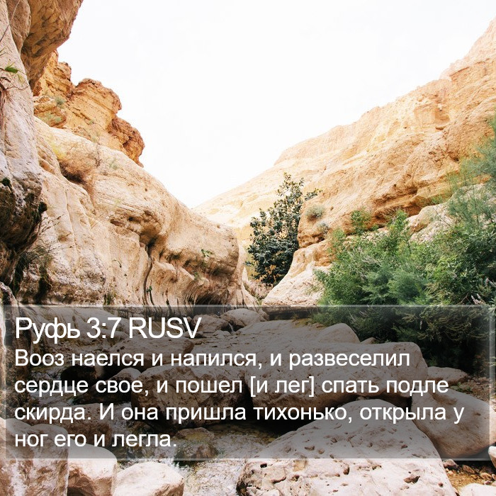 Руфь 3:7 RUSV Bible Study