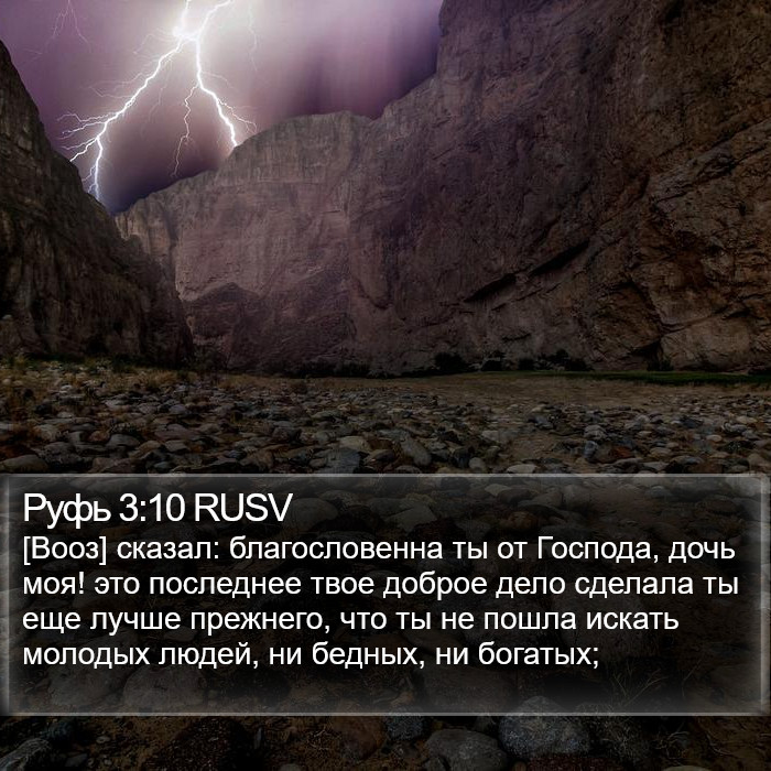 Руфь 3:10 RUSV Bible Study