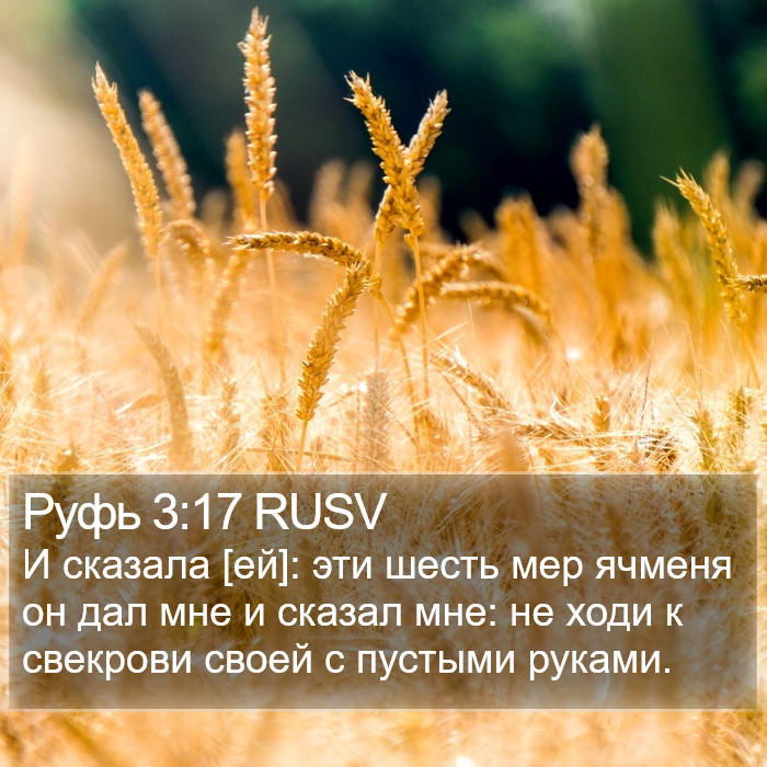 Руфь 3:17 RUSV Bible Study