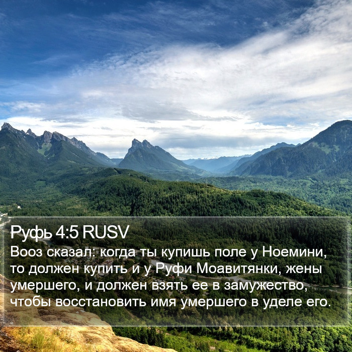 Руфь 4:5 RUSV Bible Study