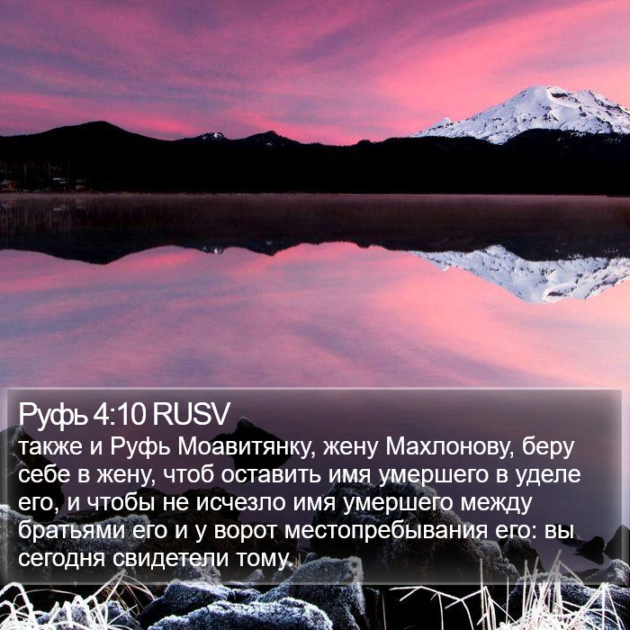 Руфь 4:10 RUSV Bible Study