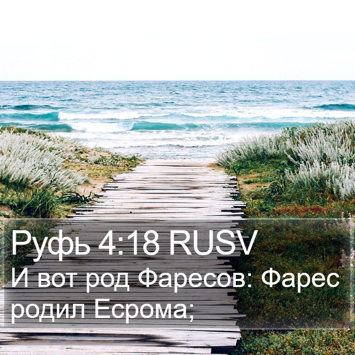 Руфь 4:18 RUSV Bible Study