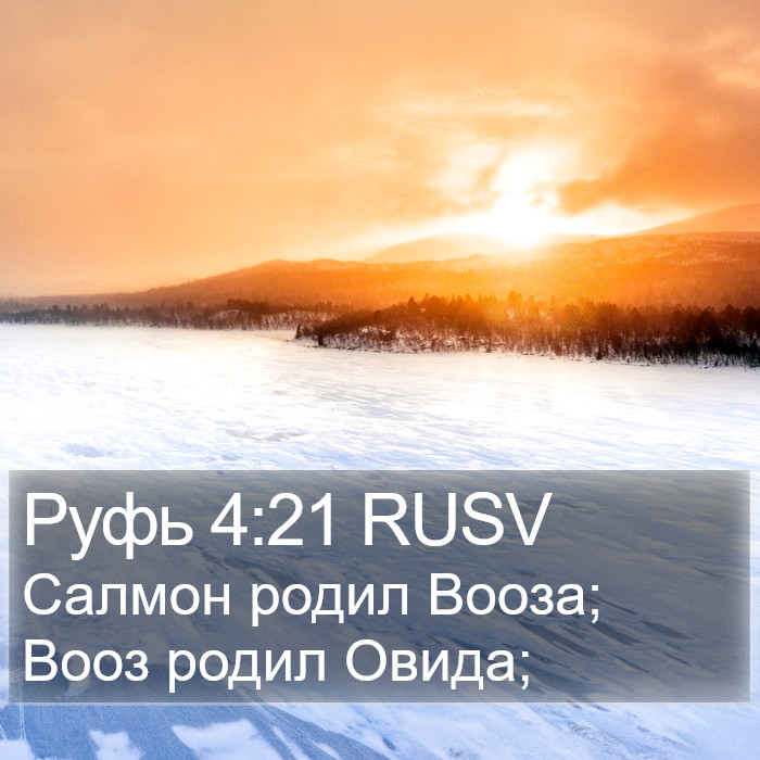 Руфь 4:21 RUSV Bible Study