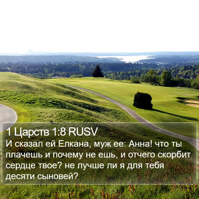 1 Царств 1:8 RUSV Bible Study