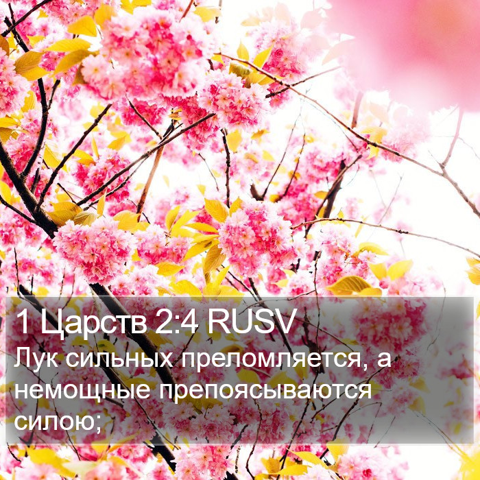 1 Царств 2:4 RUSV Bible Study