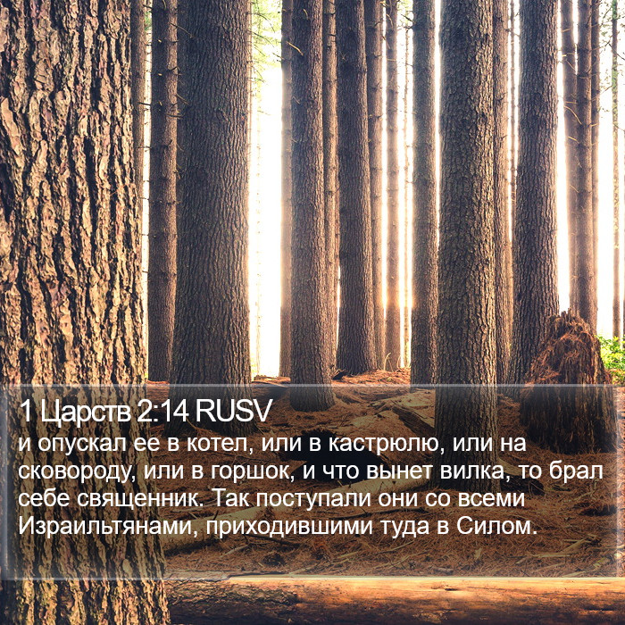 1 Царств 2:14 RUSV Bible Study