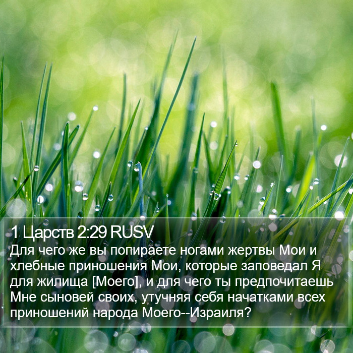 1 Царств 2:29 RUSV Bible Study