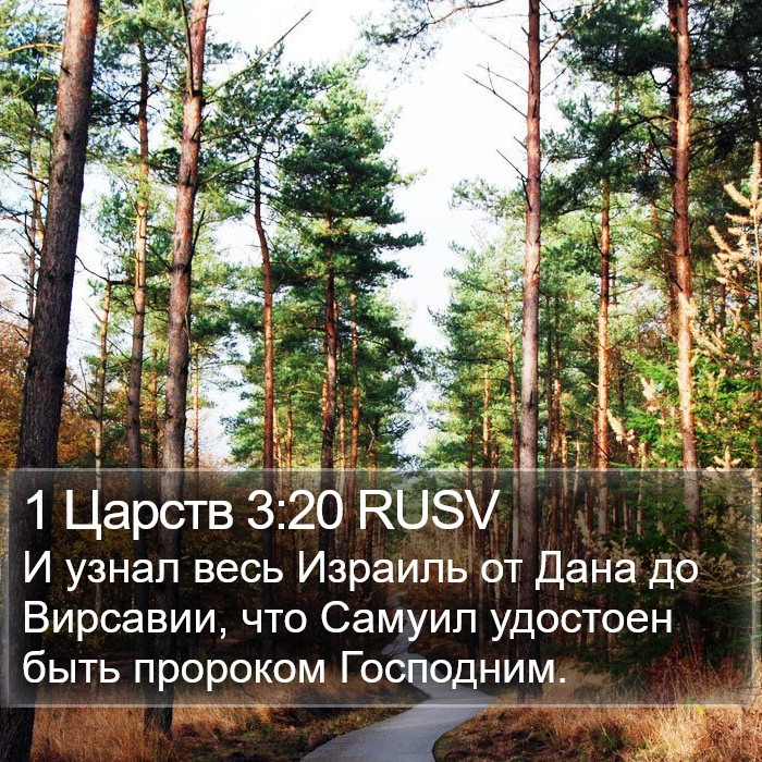 1 Царств 3:20 RUSV Bible Study