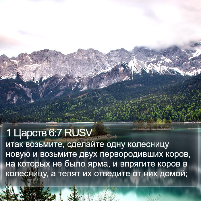 1 Царств 6:7 RUSV Bible Study