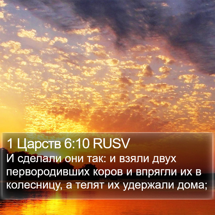 1 Царств 6:10 RUSV Bible Study