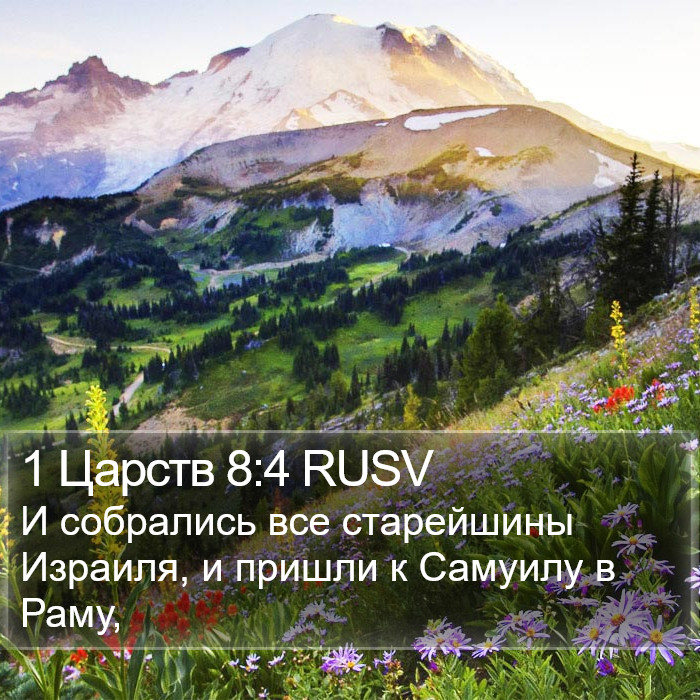 1 Царств 8:4 RUSV Bible Study