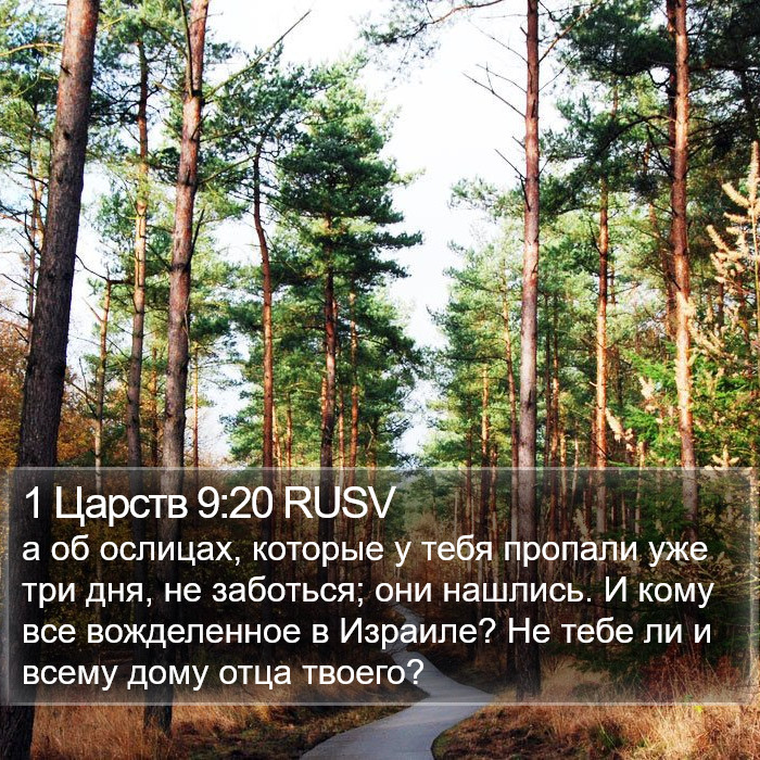 1 Царств 9:20 RUSV Bible Study