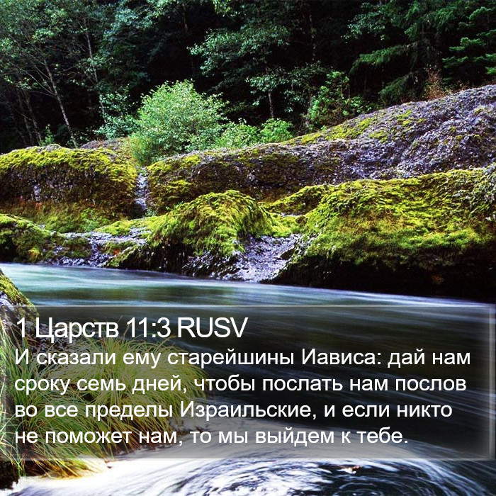 1 Царств 11:3 RUSV Bible Study