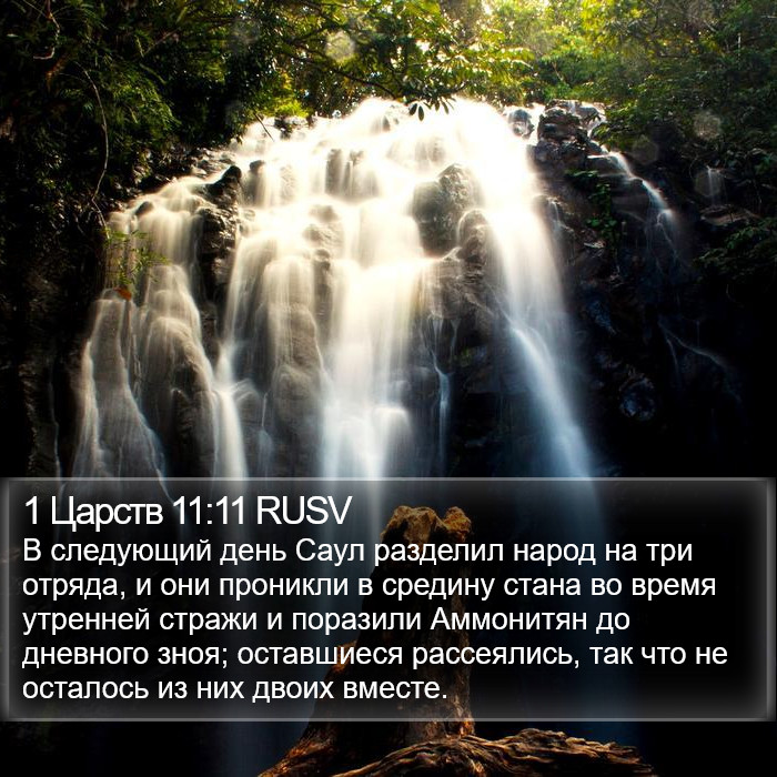 1 Царств 11:11 RUSV Bible Study