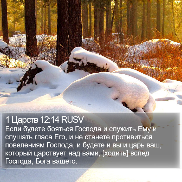 1 Царств 12:14 RUSV Bible Study