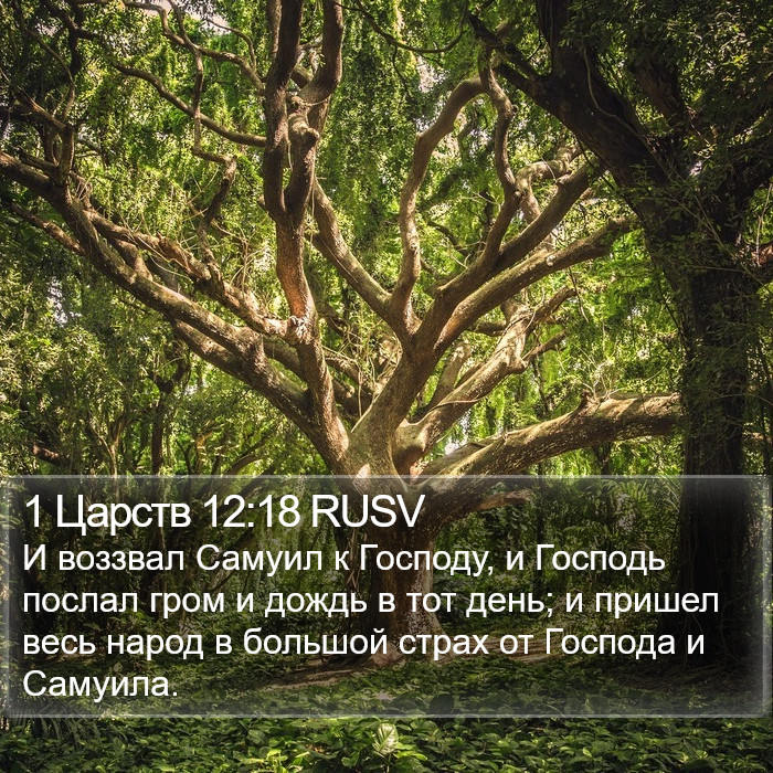 1 Царств 12:18 RUSV Bible Study